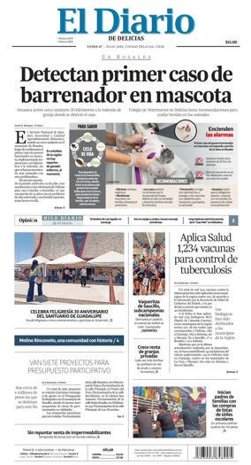 Cover of El Diario de Delicias