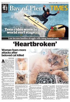 Cover of Bay of Plenty Times