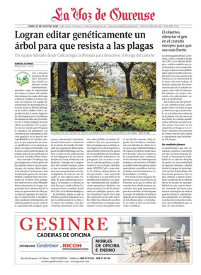 Cover of Ourense local