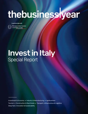 Cover of The Business Year Special Report