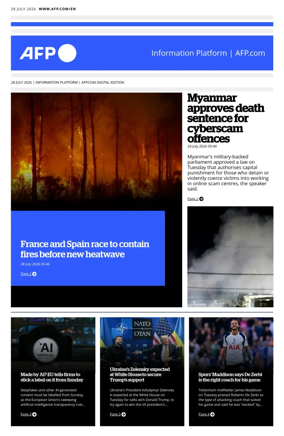Cover of AFP English