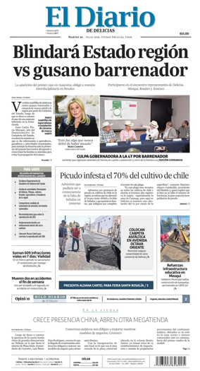 Cover of El Diario de Delicias