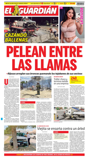 Cover of El Guardian