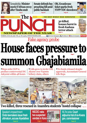 Cover of The Punch