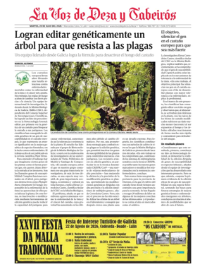 Cover of Deza local