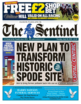Cover of The Sentinel