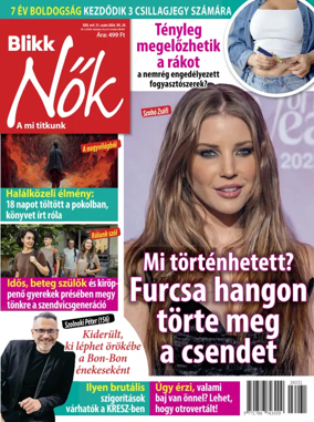Cover of Blikk Nok