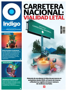 Cover of Reporte Indigo Monterrey