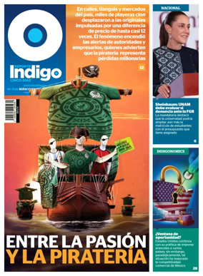 Cover of Reporte Indigo Nacional