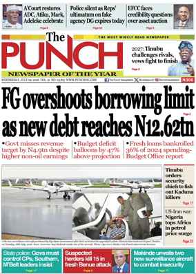 Cover of The Punch