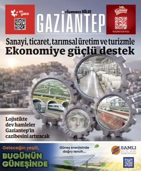Cover of NBE - Bolge Ekleri