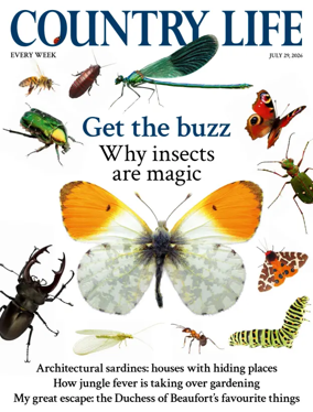 Cover of Country Life