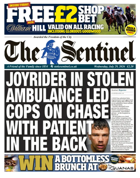 Cover of The Sentinel