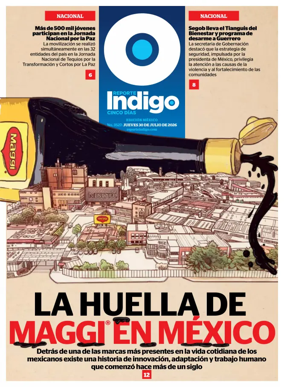 Cover of Reporte Indigo Nacional