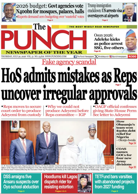 Cover of The Punch
