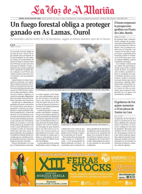 Cover of Viveiro local