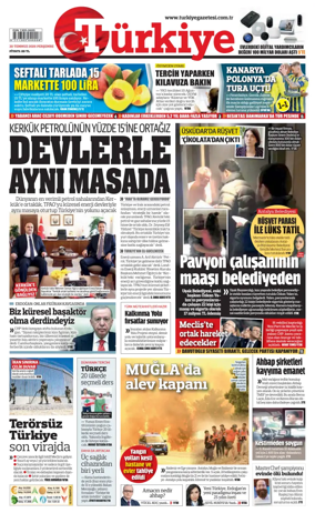 Cover of Turkiye
