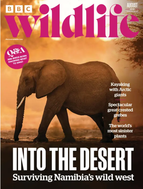 Cover of BBC Wildlife Magazine
