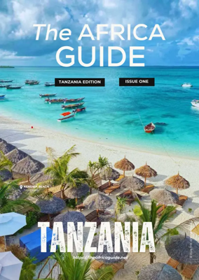 Cover of The Africa Guide