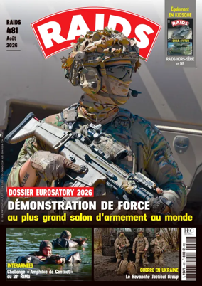 Cover of RAIDS