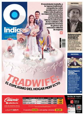 Cover of Reporte Indigo Nacional