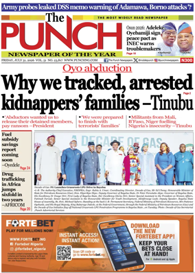 Cover of The Punch