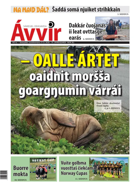 Cover of Avvir