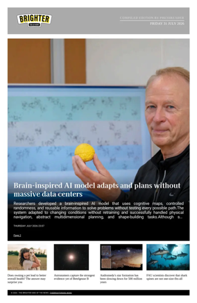 Cover of The Brighter Side of News