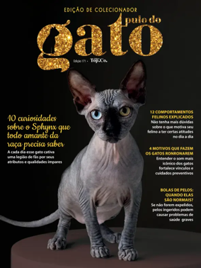 Cover of Pulo do gato