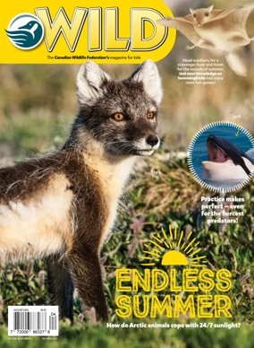 Cover of Wild