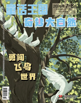 Cover of Fairy kingdom-Wonderful Nature