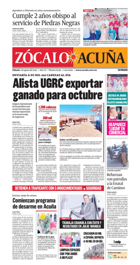 Cover of Zocalo Acuna