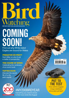 Cover of Bird Watching (UK)