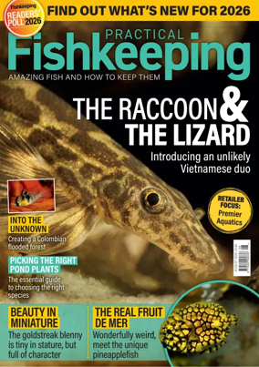 Cover of Practical Fishkeeping