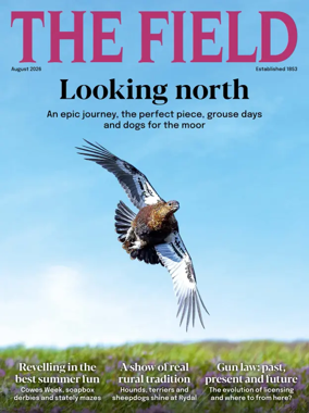 Cover of The Field