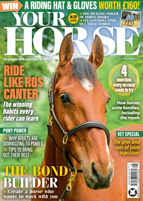 Cover of Your Horse (UK)