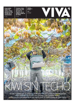 Cover of Viva