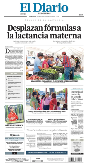 Cover of El Diario de Delicias