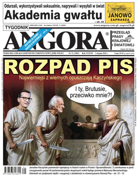 Cover of Angora