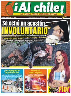 Cover of Al chile
