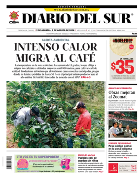 Cover of Diario del Sur