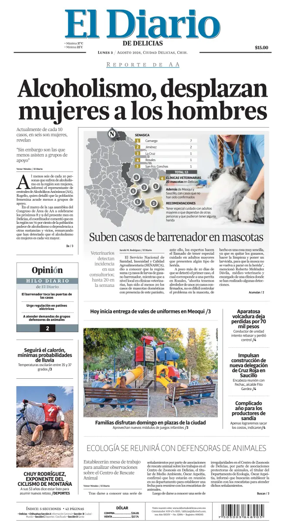 Cover of El Diario de Delicias