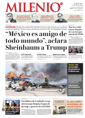 Cover of Milenio Laguna