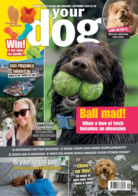 Cover of Your Dog