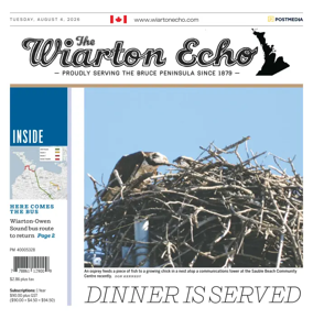 Cover of Wiarton Echo