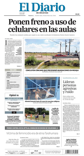 Cover of El Diario de Delicias