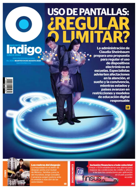 Cover of Reporte Indigo Guadalajara
