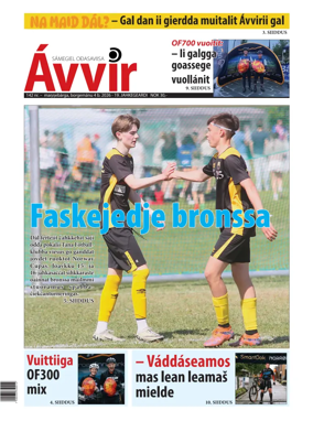 Cover of Avvir