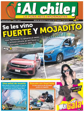 Cover of Al chile