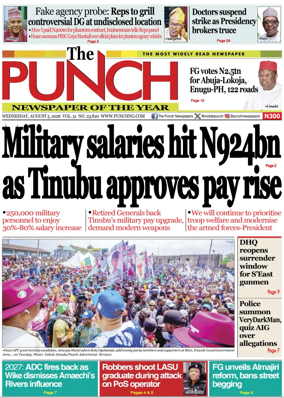 Cover of The Punch